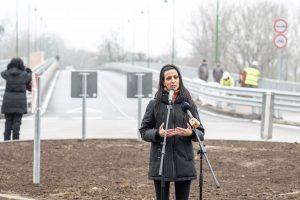 Koncz Zsófia, Borsod-Abaúj-Zemplén megye 6. számú választókerületének országgyűlési képviselője